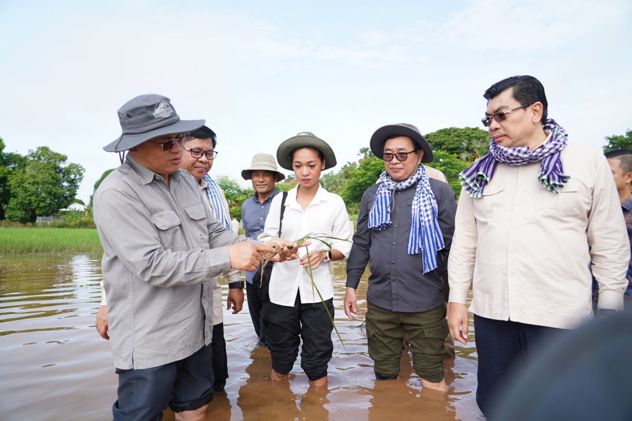 មន្រ្ដីពាក់ព័ន្ធចុះពិនិត្យ និងវាយតម្លៃផលប៉ះពាល់ដំណាំស្រូវដែលខូចខាតដោយទឹកជំនន់ក្នុងខេត្តក្រចេះ