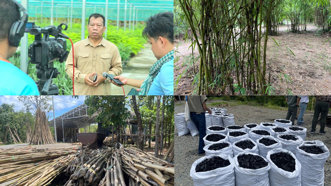 ឬស្សីជាប្រភពចំណូលទី២ បន្ទាប់ពីការធ្វើស្រែចំការ របស់ប្រជា​សហគមន៍​ការពារធម្មជាតិចំបក់ ខេត្តកំពង់ស្ពឺ