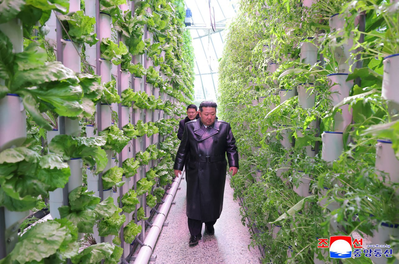 Kim Jong Un សម្ពោធកសិដ្ឋានផ្ទះកញ្ចក់ដ៏ធំ